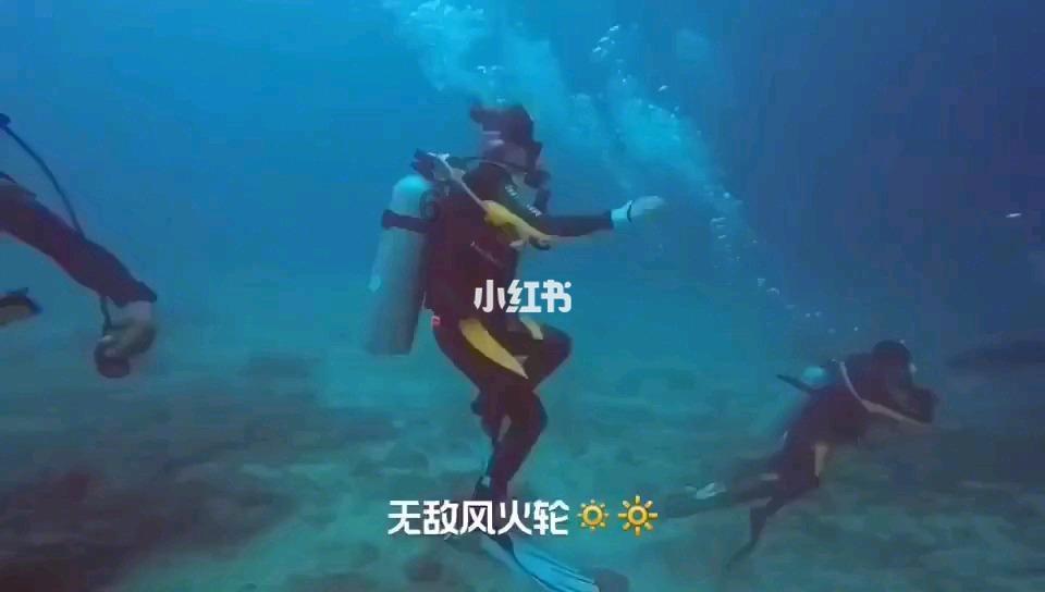 《花千骨》导演与梁朝伟相似度极高,票房惨淡转行当演员更有前途